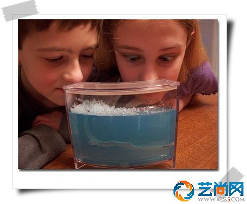 蚂蚁当宠物-赚钱市场点子真不少-蚂蚁箱项目