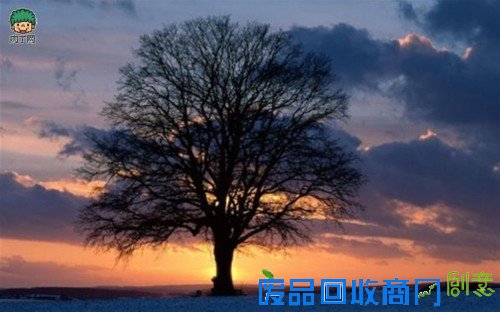 时间一直都在 唯美大气摄影图片加字