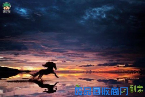 时间一直都在 唯美大气摄影图片加字