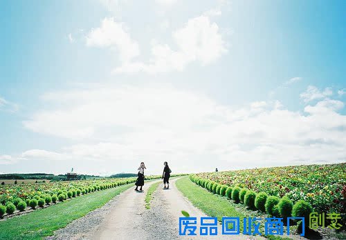 唯美意境蓝色系阳光海岸伤感意境图片