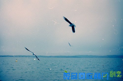 唯美意境蓝色系阳光海岸伤感意境图片