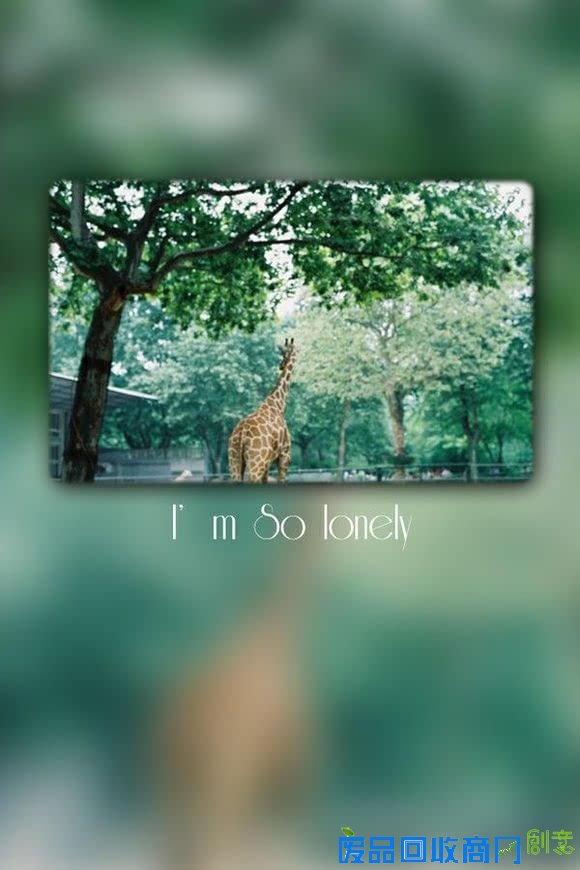 唯美情侣清新意境唯美爱情伤感图片