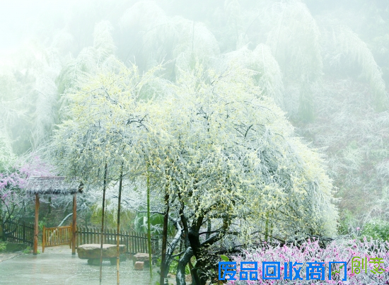 “寻美七里” 旅游摄影大赛年度大奖揭晓