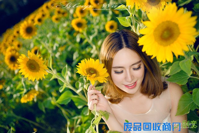 学构图看用光 摄影论坛美女人像大盘点 