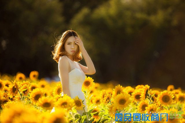 学构图看用光 摄影论坛美女人像大盘点 