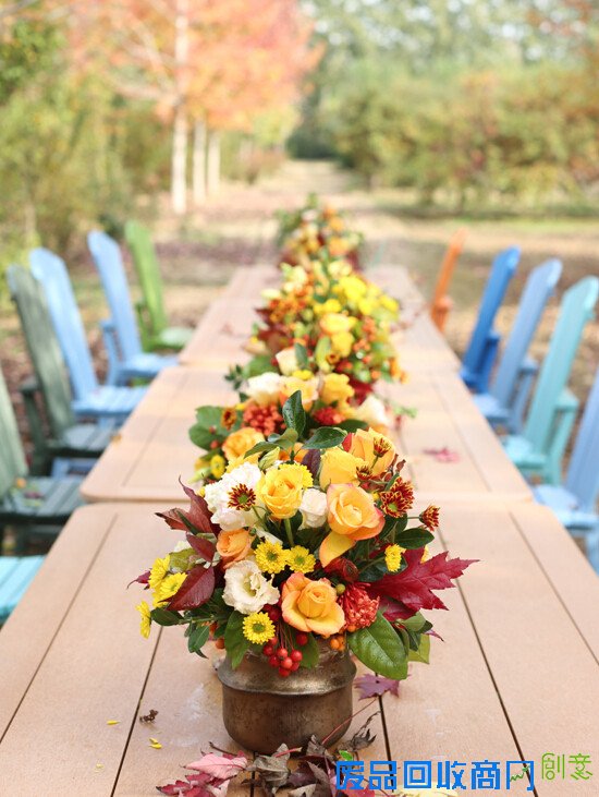 生活专栏：小院教你DIY万圣节郊游南瓜桌花