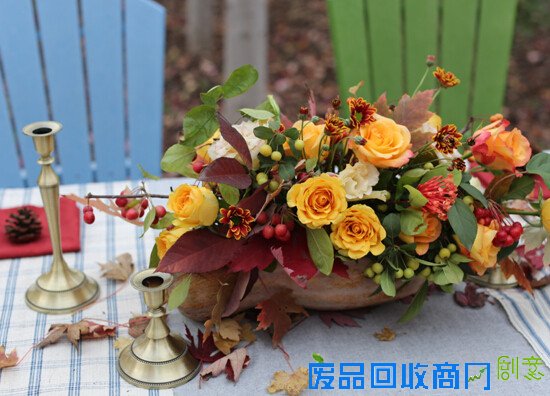 生活专栏：小院教你DIY万圣节郊游南瓜桌花