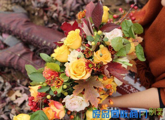 生活专栏：小院教你DIY万圣节郊游南瓜桌花