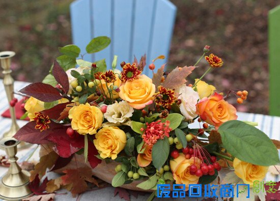 生活专栏：小院教你DIY万圣节郊游南瓜桌花