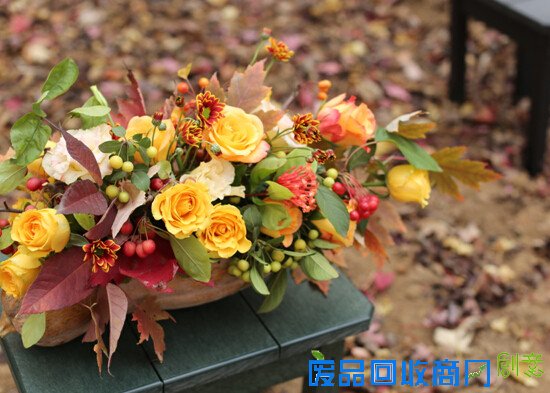 生活专栏：小院教你DIY万圣节郊游南瓜桌花