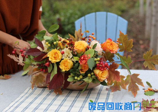 生活专栏：小院教你DIY万圣节郊游南瓜桌花