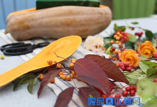 生活专栏：小院教你DIY万圣节郊游南瓜桌花