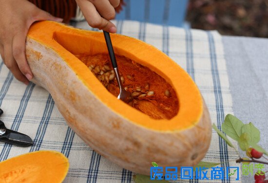 生活专栏：小院教你DIY万圣节郊游南瓜桌花