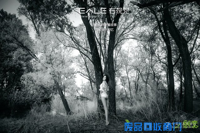 学构图看用光 摄影论坛美女人像大盘点 