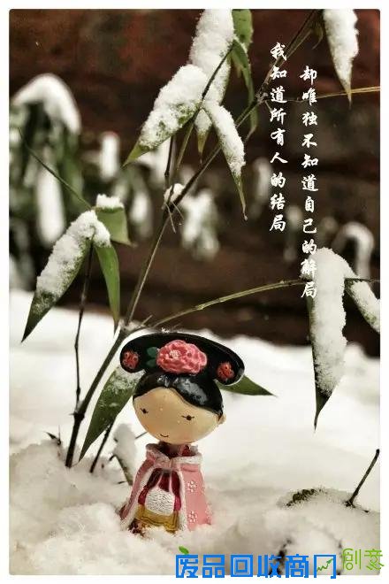 “雪景婚纱照”超级攻略