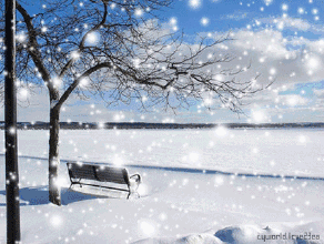 “雪景婚纱照”超级攻略