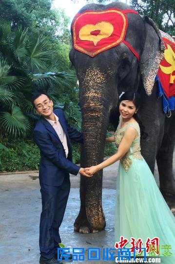 深圳野生动物园员工拍创意婚纱照动物萌宠友情客串
