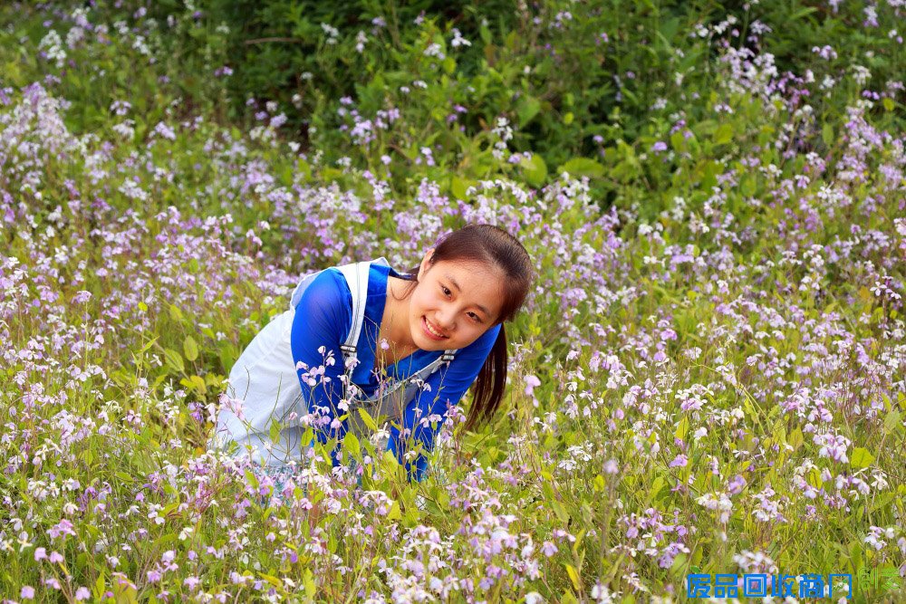 清纯美少女 - 作品交流