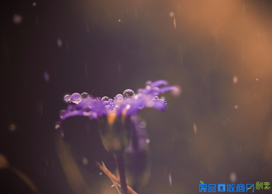 平凡中的不凡 女性摄影师的唯美摄影作品