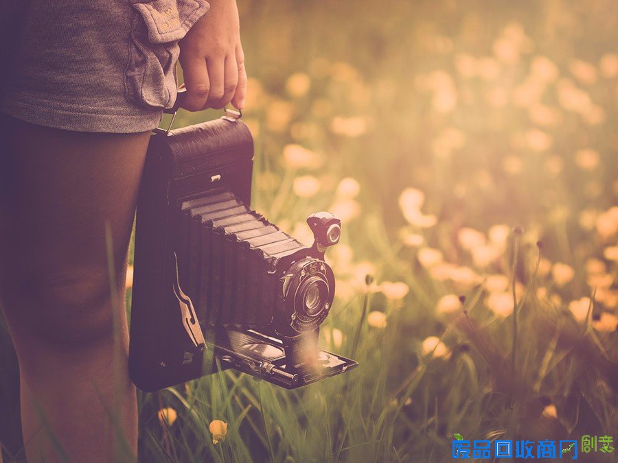 平凡中的不凡 女性摄影师的唯美摄影作品