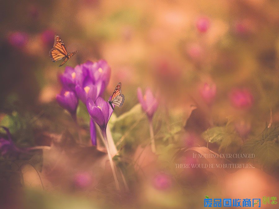 平凡中的不凡 女性摄影师的唯美摄影作品