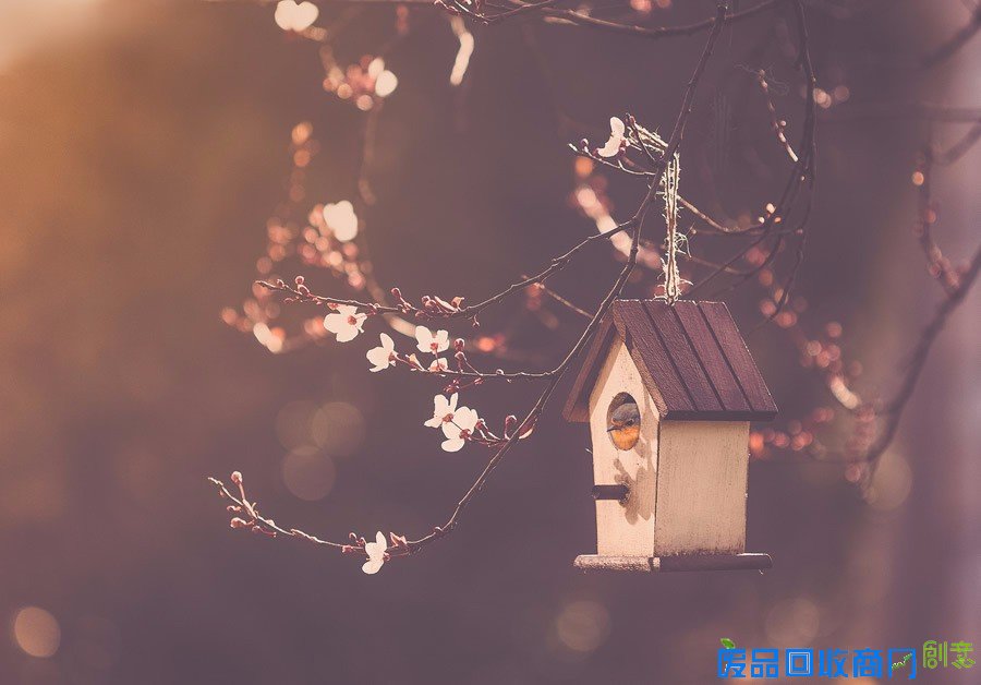 平凡中的不凡 女性摄影师的唯美摄影作品