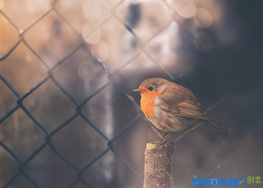 平凡中的不凡 女性摄影师的唯美摄影作品