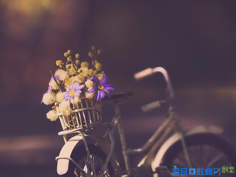 平凡中的不凡 女性摄影师的唯美摄影作品