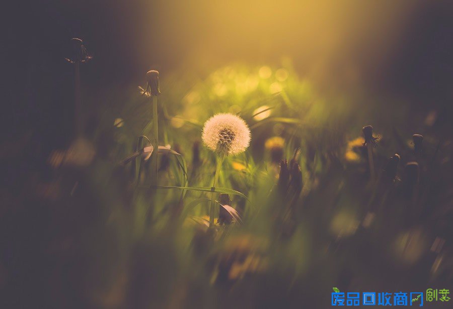 平凡中的不凡 女性摄影师的唯美摄影作品