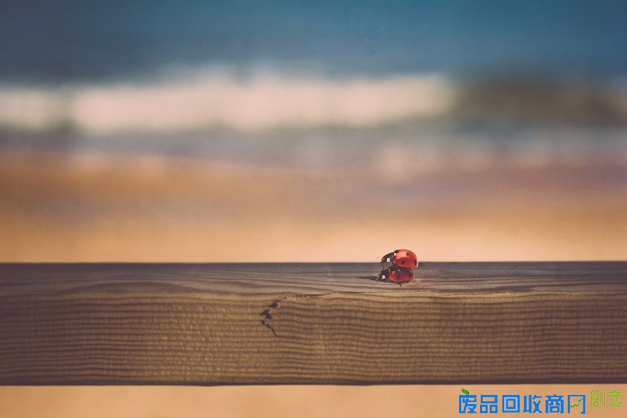 平凡中的不凡 女性摄影师的唯美摄影作品