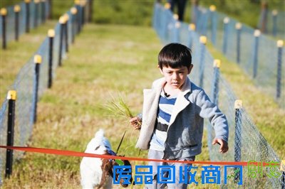 诺一的存在让刘烨这个爹当得很令人头疼。