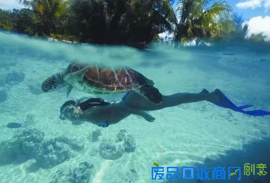 黄晓明Baby唯美婚纱照, 明星喜欢去哪里拍