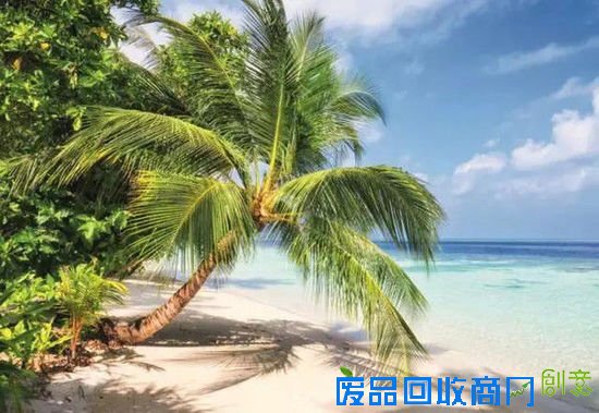 黄晓明Baby唯美婚纱照, 明星喜欢去哪里拍