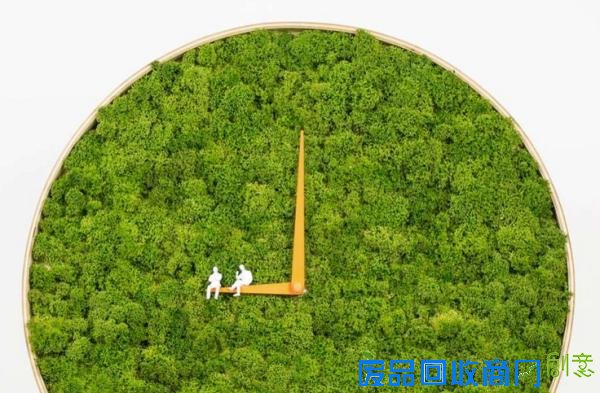 冷冷的冬季，看到这15个创意盆栽就觉得心里暖暖的