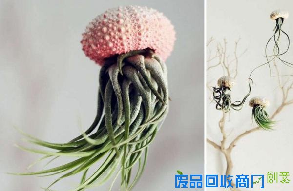 冷冷的冬季，看到这15个创意盆栽就觉得心里暖暖的