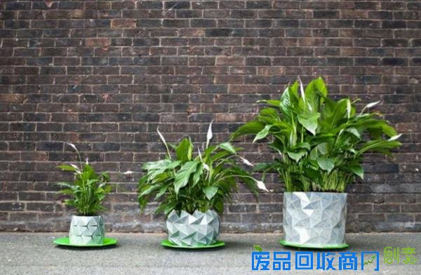 冷冷的冬季，看到这15个创意盆栽就觉得心里暖暖的