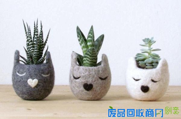 冷冷的冬季，看到这15个创意盆栽就觉得心里暖暖的