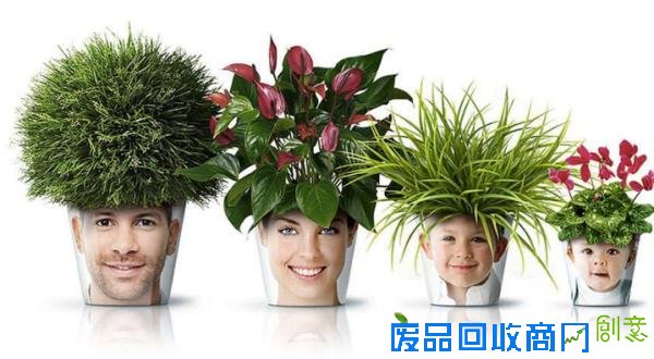 冷冷的冬季，看到这15个创意盆栽就觉得心里暖暖的