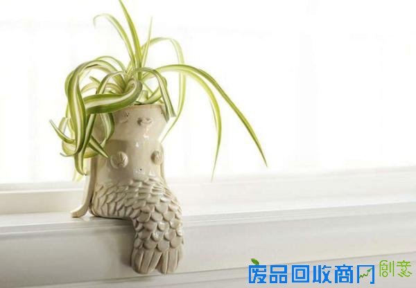 冷冷的冬季，看到这15个创意盆栽就觉得心里暖暖的