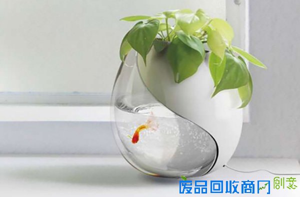 冷冷的冬季，看到这15个创意盆栽就觉得心里暖暖的