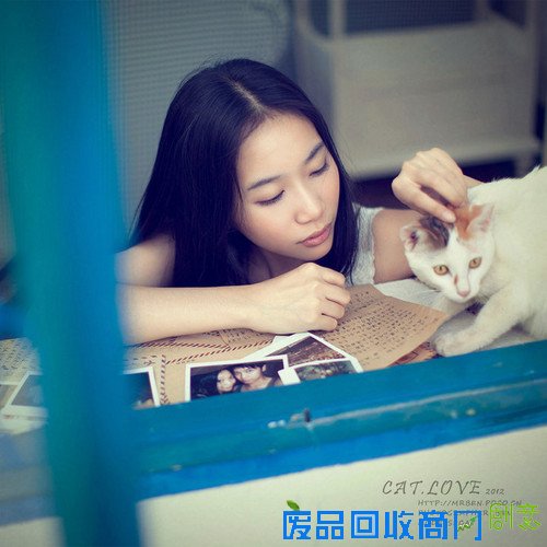 《午后的猫》摄影师:竹本先生