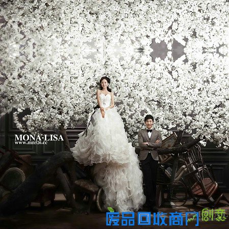 婚纱照彩纱造型,婚纱照主纱的选择,唯美婚纱照纱照,彩纱造型