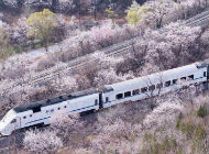 春日列车开往雪城 春日列车开往雪城