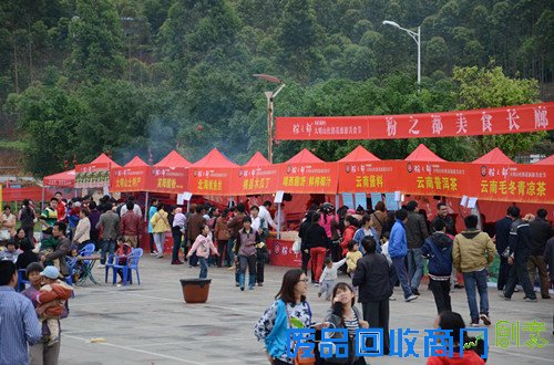 2013广西大明山杜鹃花旅游节圆满谢幕