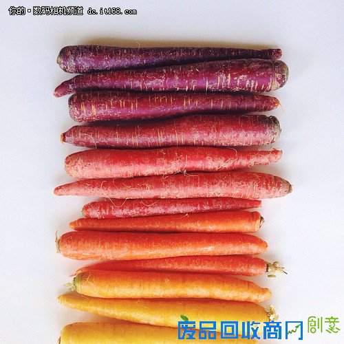 创意摄影：Brittany Wright的食物梯度