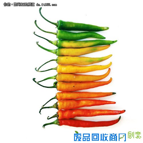 创意摄影：Brittany Wright的食物梯度