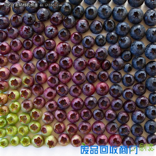 创意摄影：Brittany Wright的食物梯度