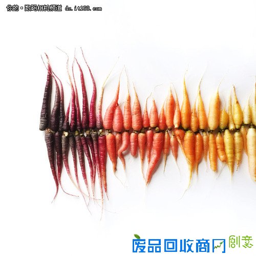 创意摄影：Brittany Wright的食物梯度