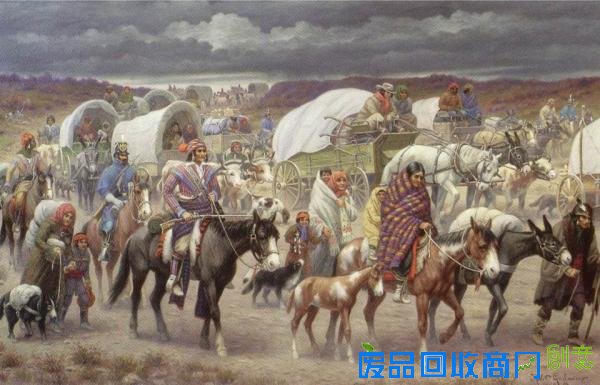 《在世界与我之间》书摘｜我的身体，我为你而悲伤