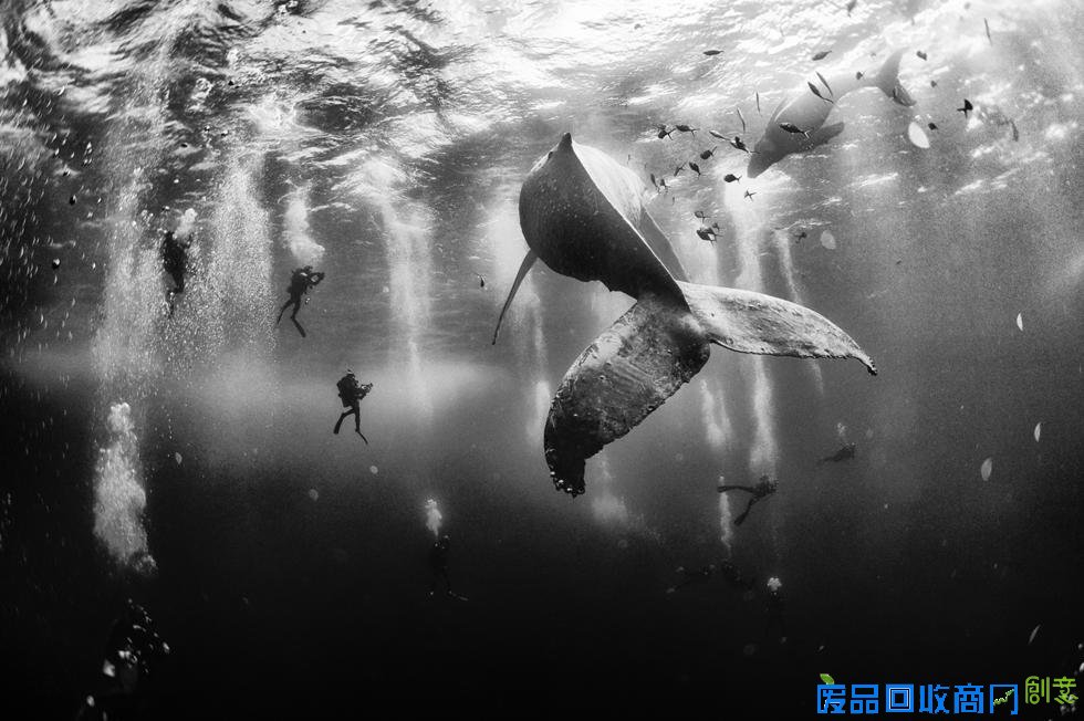 2015年《国家地理旅行者》摄影大赛获奖作品